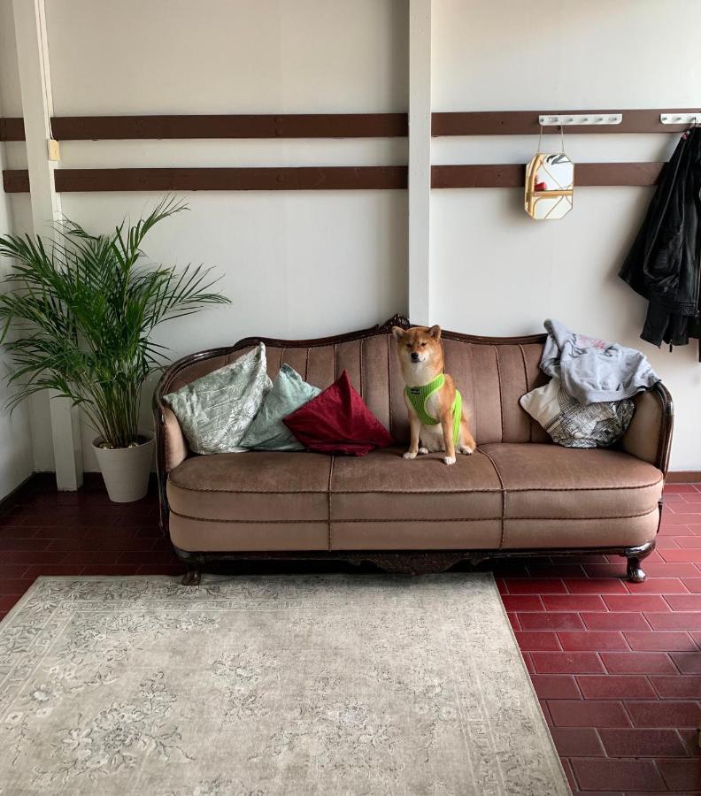 Wherever Mini Hostel โรวานิเอมิ ภายนอก รูปภาพ